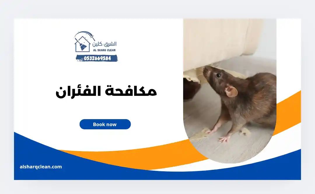مكافحة الفئران في الظهران